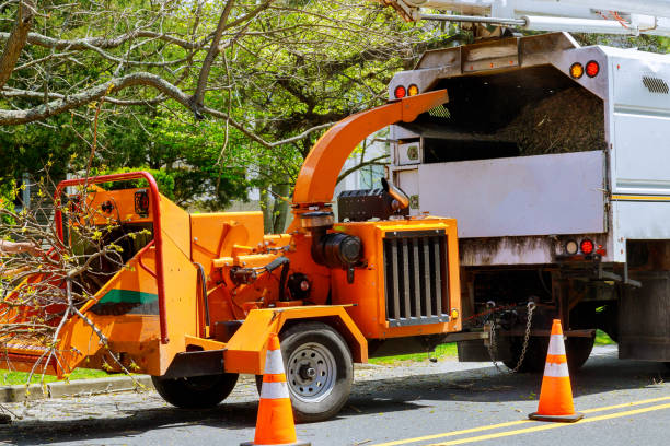 Best Utility Line Clearance  in Brittany Farms The Highlands, PA